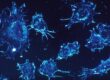cancer-cells